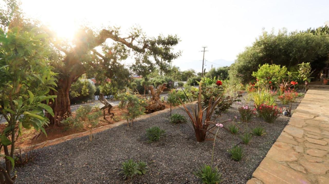Comfortable Apartment With Garden - Casa Con Vista Havania Exterior foto